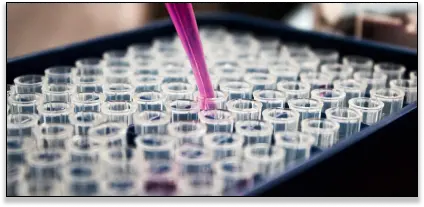 lab consulting services