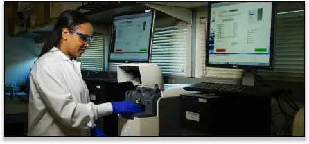 pcr reagents